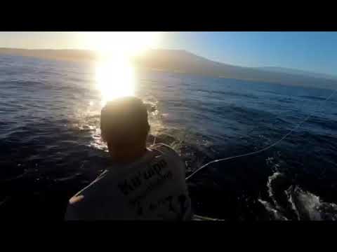 Camelot Sport Fishing - Kona Hawaii